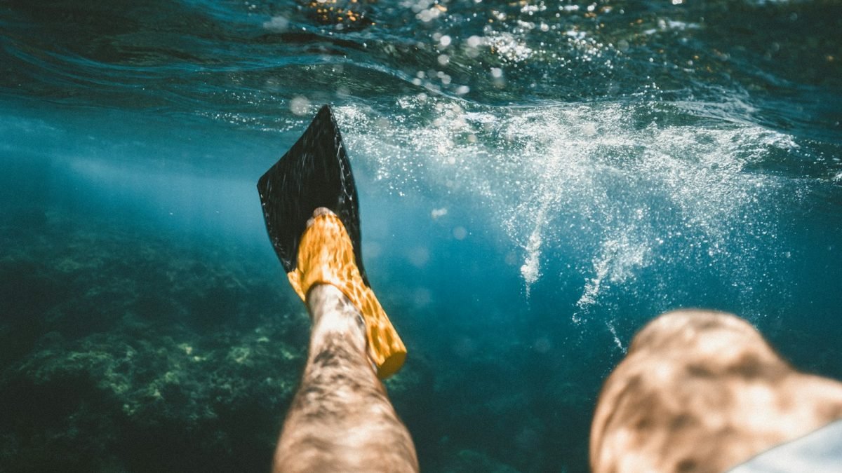 closeup photo of person diving underwater