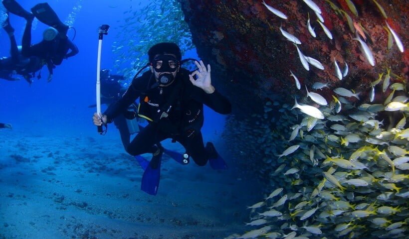 Scuba Schools in Puerto Vallarta